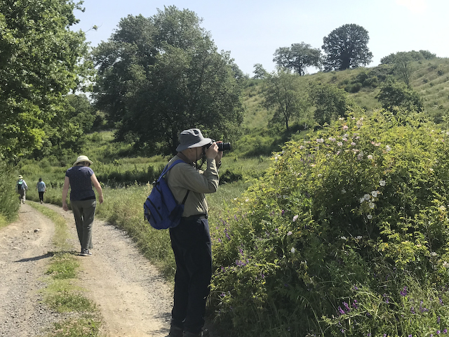 Walking to Orvieto